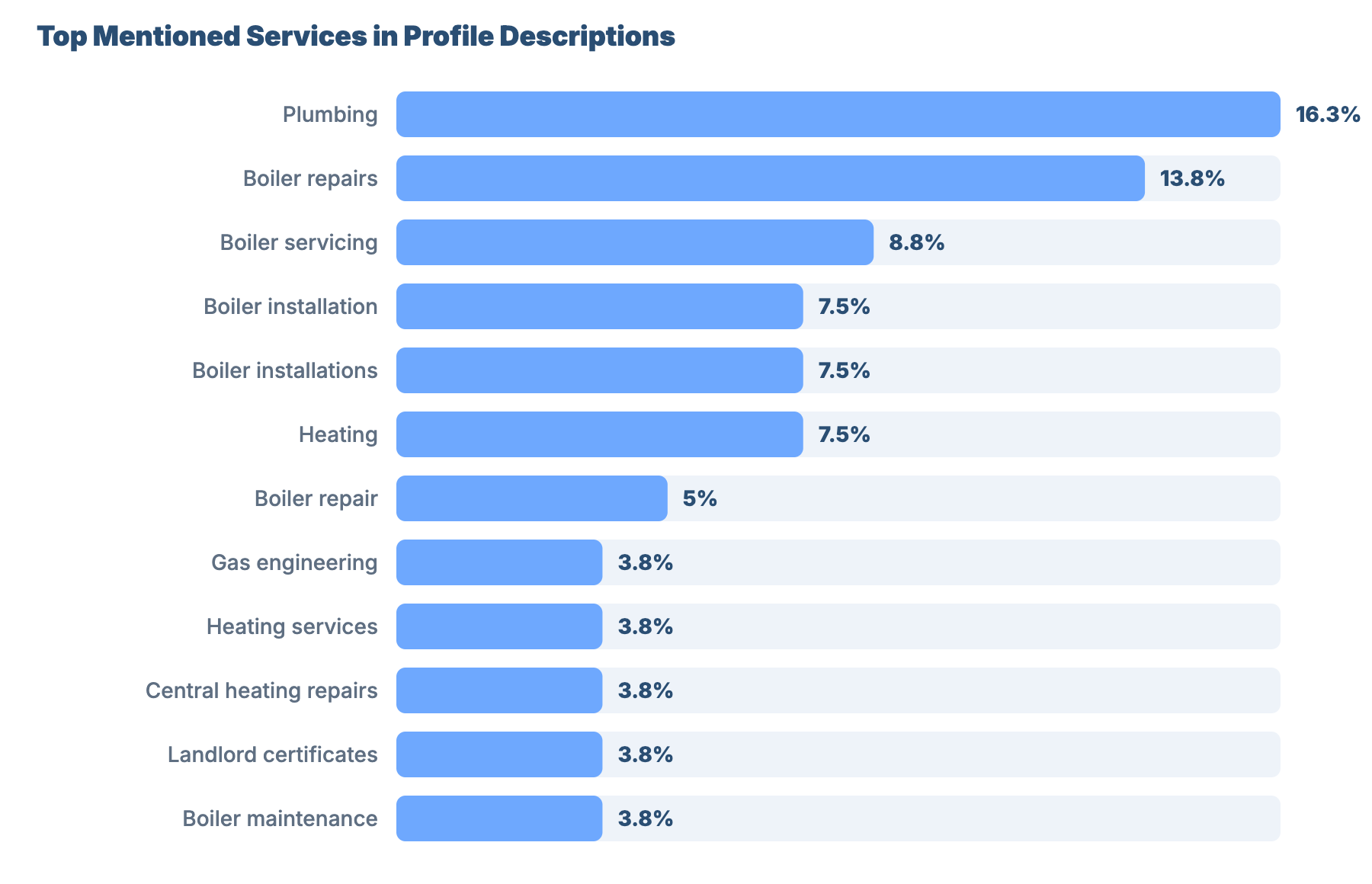 SEO for Plumbers and Gas Engineers in Coventry: Market Benchmark Analysis 35 - VisiLocali Top Mentioned Services in Profile Descriptions